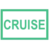 Cruise Control Indicator 3