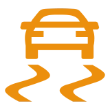 Electronic Stability Control (ESC) Warning Light